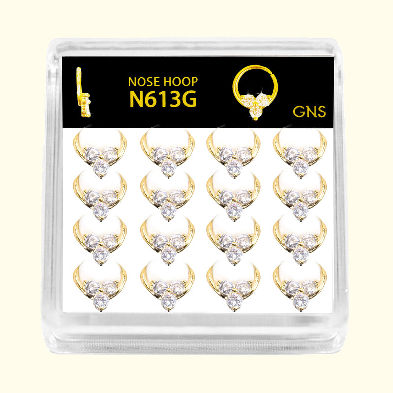 N613G